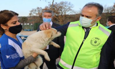 Bursa’da emekli hayvanlara Başkan Aktaş’tan ziyaret