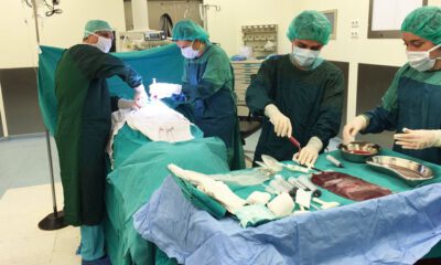 Uludağ Üniversitesi, organ naklinde dönüşüme hazırlanıyor