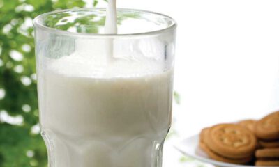 Türk halkı yeterince süt içmiyor