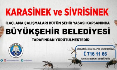 Başkan Türkyılmaz’dan Bursa Büyükşehir’e “ilaçlama” çağrısı