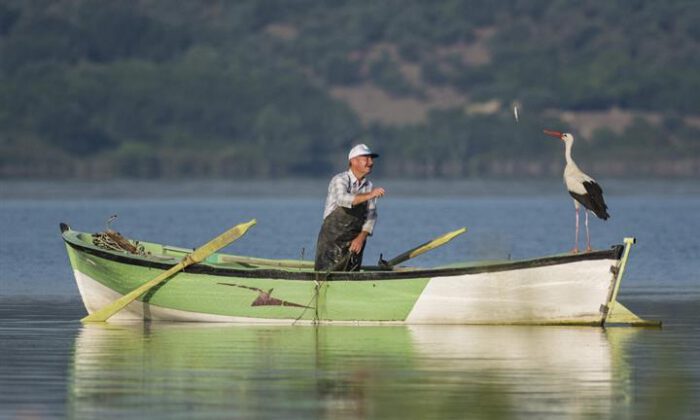 Bursa’da bir balıkçı ile leyleğin hikayesi film oluyor!