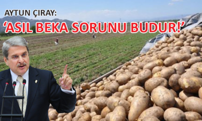 Aytun Çıray, 200 bin ton patates ithal edilmesi kararını Meclis gündemine taşıdı