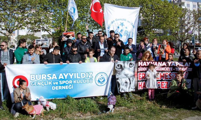 Bursa’da hayvanseverler sokak hayvanları için bir araya geldi