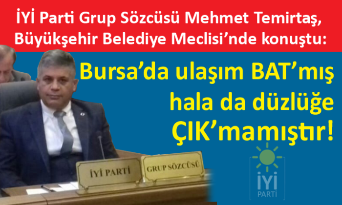 İYİ Parti Grup Sözcüsü Temirtaş, Bursa’nın sorunlarını gündeme taşıdı