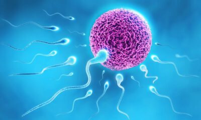 Sperm sayıları son 30 yılda yüzde 39 azaldı