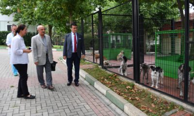 Prof. Dr. Aygül’den Osmangazi Belediyesi Hayvan Barınağı’na övgü