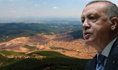 Cumhurbaşkanı Erdoğan Kaz Dağları’na gidecek  