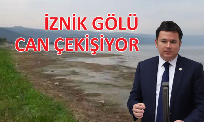 Erkan Aydın’dan İznik Gölü’nün kurtarılması için araştırma önergesi