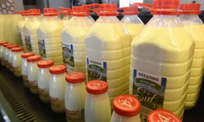 Ankara’da ‘Halk Süt’ satışı başladı