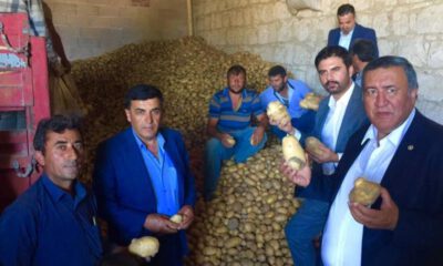 Gürer: Patates ve soğanın ihracı engellenerek sorun çözülemez