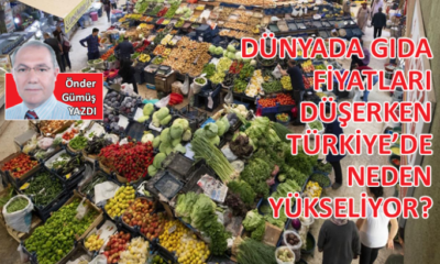 Dünyada gıda fiyatları düşerken, Türkiye’de neden yükseliyor?