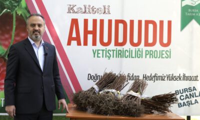 Bursa’da 125 bin ahududu fidanı üreticiyle buluştu