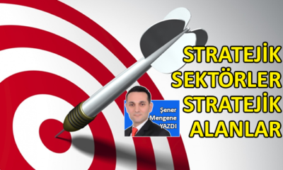 Stratejik sektörler stratejik alanlar