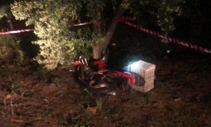 Bursa’da domuza çarpan motosikletin sürücüsü öldü