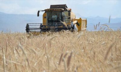 Türkiye, buğday ithalatında Çin’i bile geçti