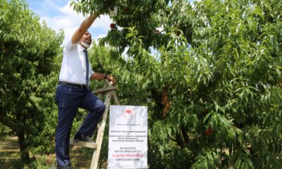 Bursa’da ‘meyve sinekleriyle biyoteknik mücadele’ projesi