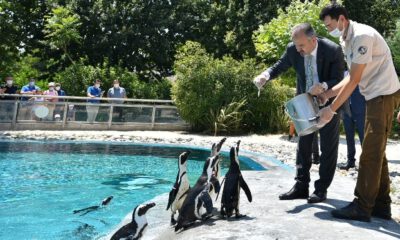 Bursa Hayvanat Bahçesi’nin nüfusu yeni doğumlarla artıyor