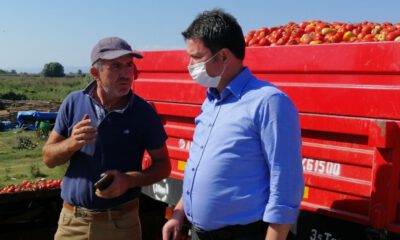 CHP’li Erkan Aydın, domates üreticilerinin sorunlarını dinledi