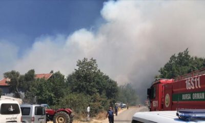 Bursa’da yerleşim bölgesi yakınında orman yangını
