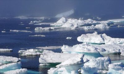 Grönland’daki buz tabakasında ‘2019’da rekor erime’ kaydedildi