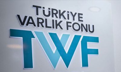 Kamu sigorta şirketleri, Türkiye Varlık Fonu çatısı altında birleşti
