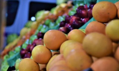 Yaş meyve sebze ihracatına Doğu Akdeniz ‘damgası’