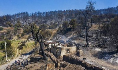Manisa’daki orman yangını 3 gün sonra kontrol altına alındı