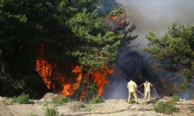 Hatay’daki orman yangınlarıyla ilgili 2 şüpheli tutuklandı