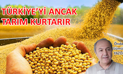 Türkiye’yi ancak tarım kurtarır