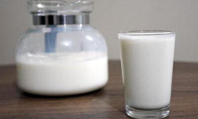 Veterinerlerden, ‘süt fiyatları süt-yem paritesiyle uyumlu olsun’ talebi