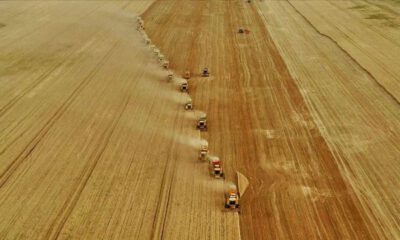 Buğday, arpa ve mısır ithalatında gümrük vergisi sıfırlandı