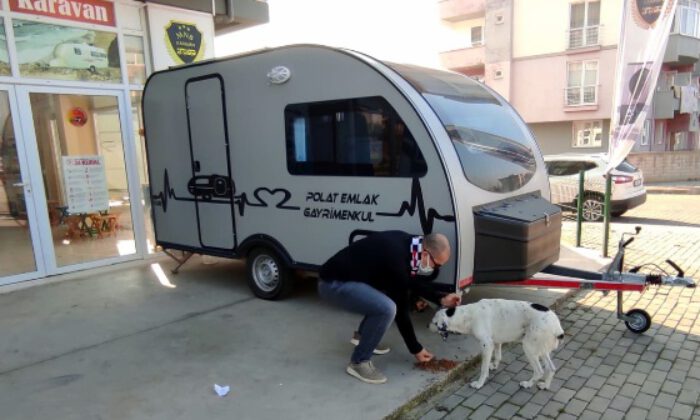 Bursa Yenişehir’de sokak hayvanları unutulmadı