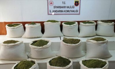 Diyarbakır’da 1 ton 16 kilogram esrar ele geçirildi