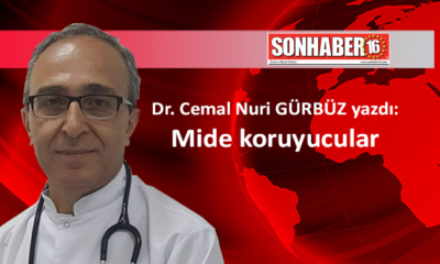 Mide koruyucular