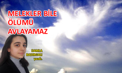 Melekler bile ölümü avlayamaz