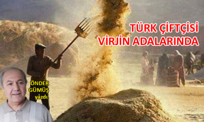 Türk çiftçisi Virjin Adalarında…