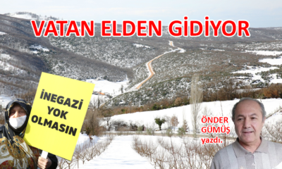 Vatan elden gidiyor