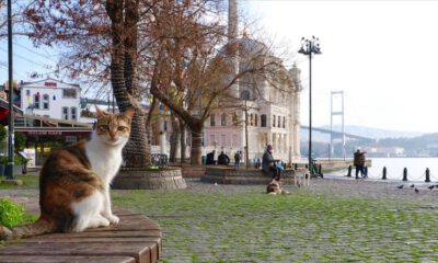 Marmara Bölgesi’nde sıcaklık 2 ila 4 derece artacak