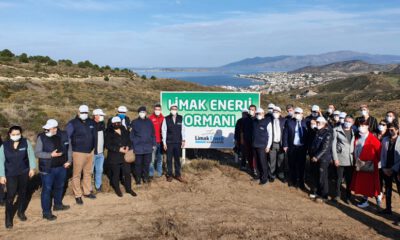 Limak Enerji’nin Yeşil Dönüşüm Ormanları Balıkesir’de…