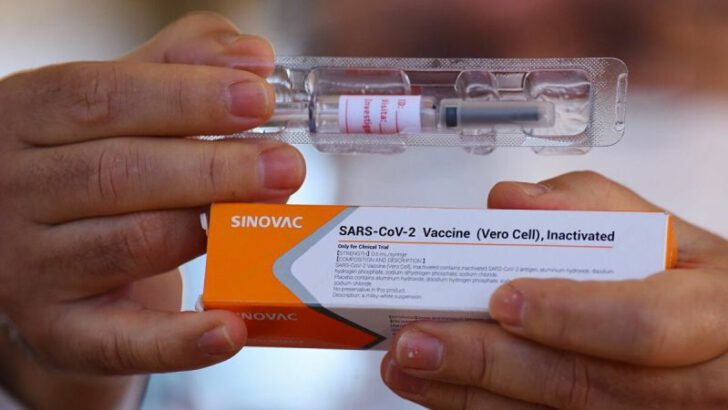 Türkiye’de Çin aşısı Sinovac uygulaması ne zaman başlayacak?