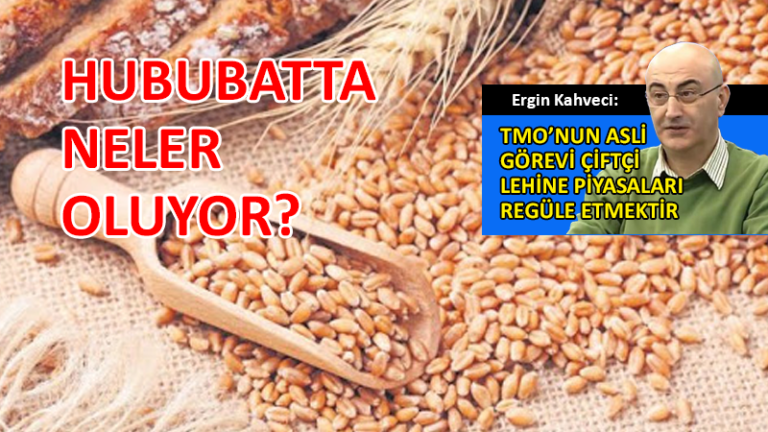 İçeride 1650 TL. Yurt dışından 2000 TL’ye arpa ithal ettik! 