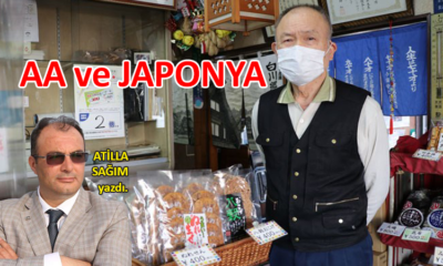 AA ve Japonya