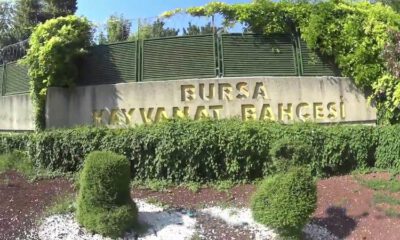 Bursa Hayvanat Bahçesi geçici olarak ziyarete kapandı