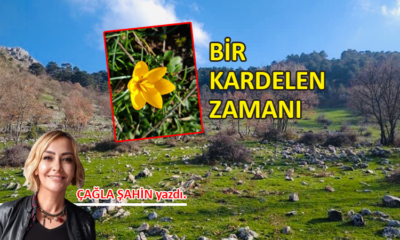 BİR KARDELEN ZAMANI…