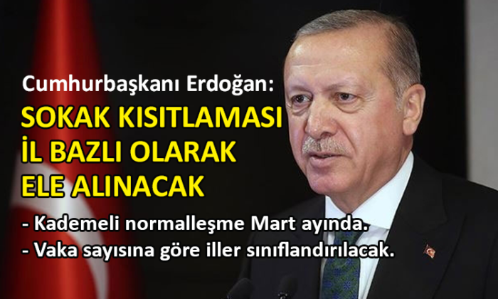 Erdoğan, corona virüste normalleşme takvimini açıkladı