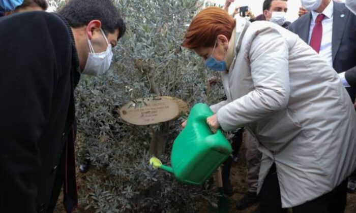 Akşener, hayatını kaybeden sağlıkçılar anısına fidan dikti