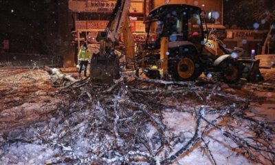 İstanbul’da kar yağışı nedeniyle ağaçlar devrildi