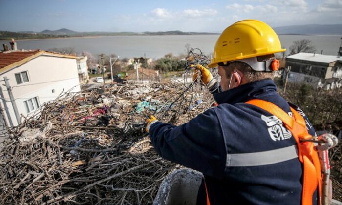 ‘Leylek Köyü’nde göçten dönecek leylekler için hazırlıklar başladı