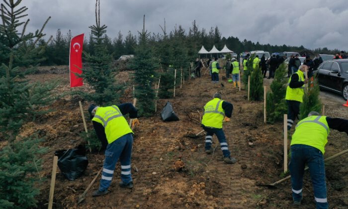 Bursalı 4 bin 92 Çanakkale şehidi için hatıra ormanı