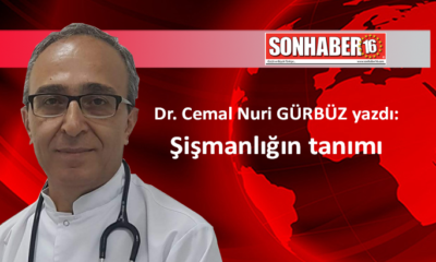 Şişmanlığın tanımı